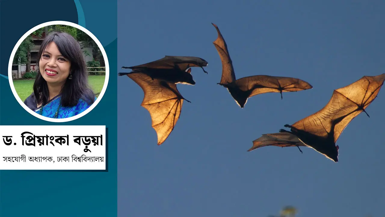 স্তন্যপায়ীদের মধ্যে বাদুড়ই কি একমাত্র ভাইরাস বহন করে?