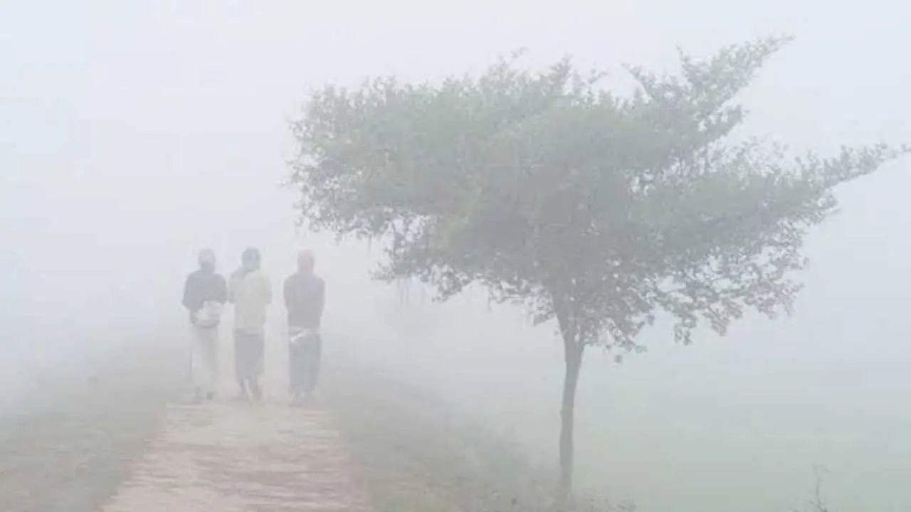 তেঁতুলিয়ায় মৃদু শৈত্যপ্রবাহ অব্যাহত