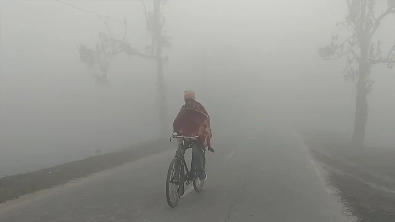 তেঁতুলিয়ায় হাড় কাঁপানো শীত, তাপমাত্রা নেমেছে ৭ ডিগ্রিতে