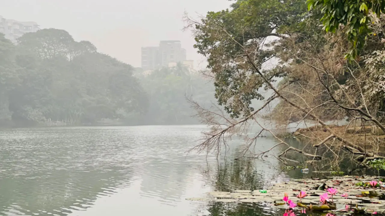 শীতে বাড়ছে রোগবালাই : সুস্থ থাকতে চিকিৎসকদের পরামর্শ
