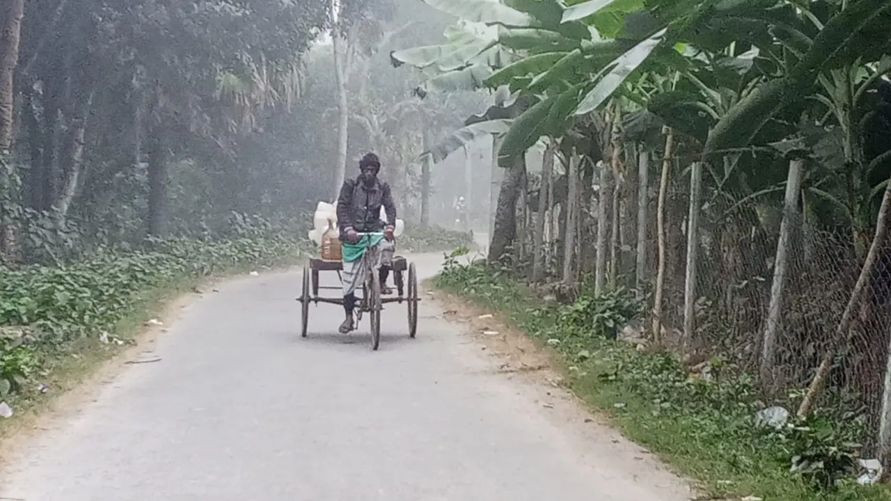 টানা ৪ দিনের শৈত্যপ্রবাহে বিপর্যস্ত চুয়াডাঙ্গা