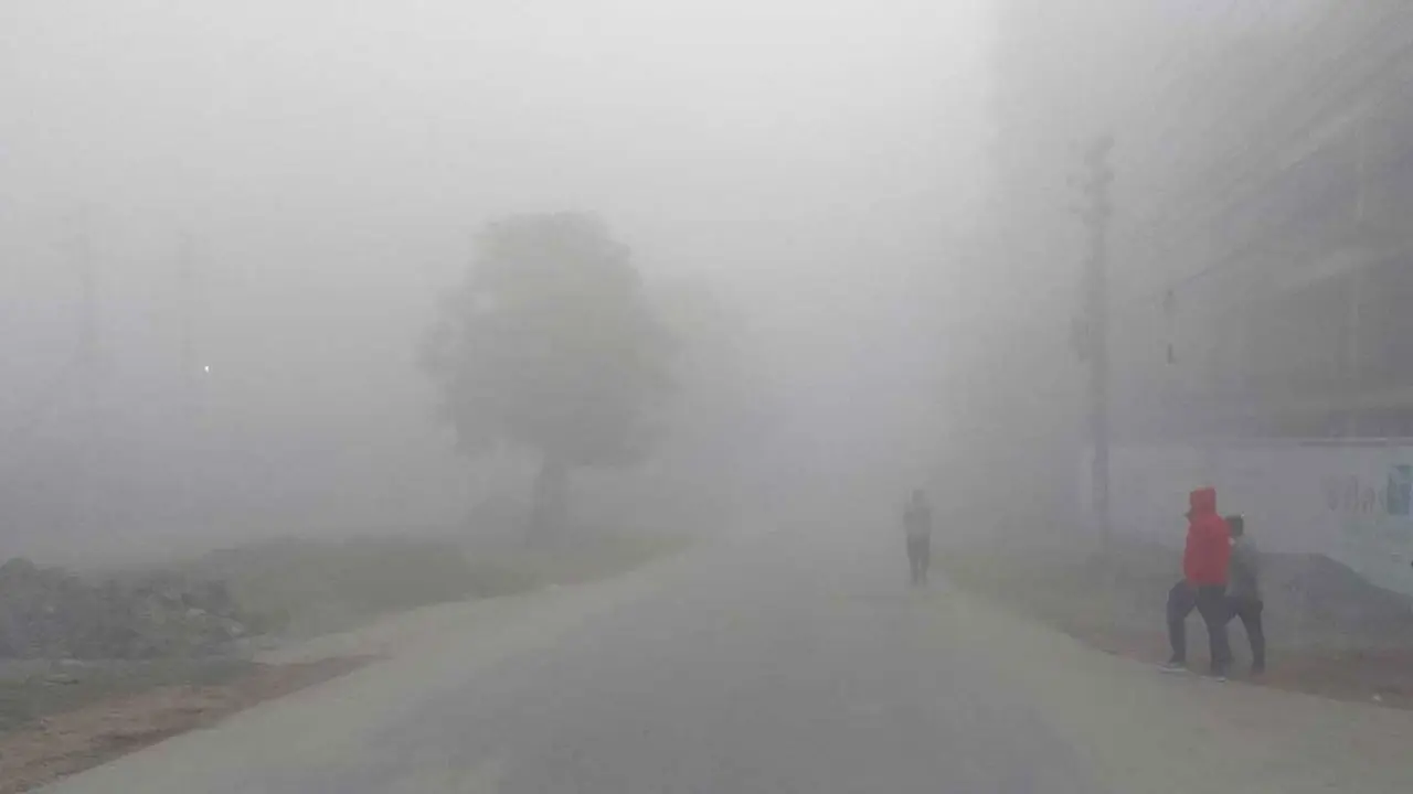 কুড়িগ্রামে কুয়াশা ও শীতের তীব্রতা বেড়েছে