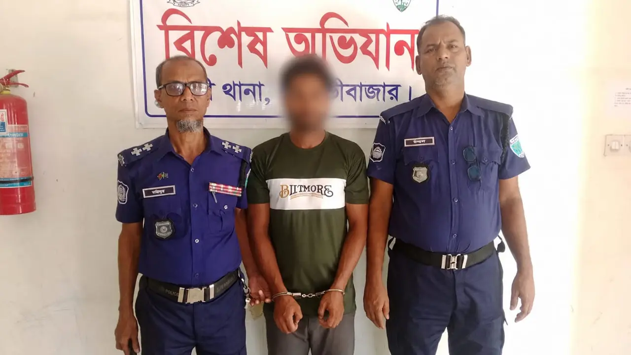 কুড়ালের আঘাতে বাবাকে হত্যার ঘটনায় প্রবাসী ছেলে গ্রেপ্তার
