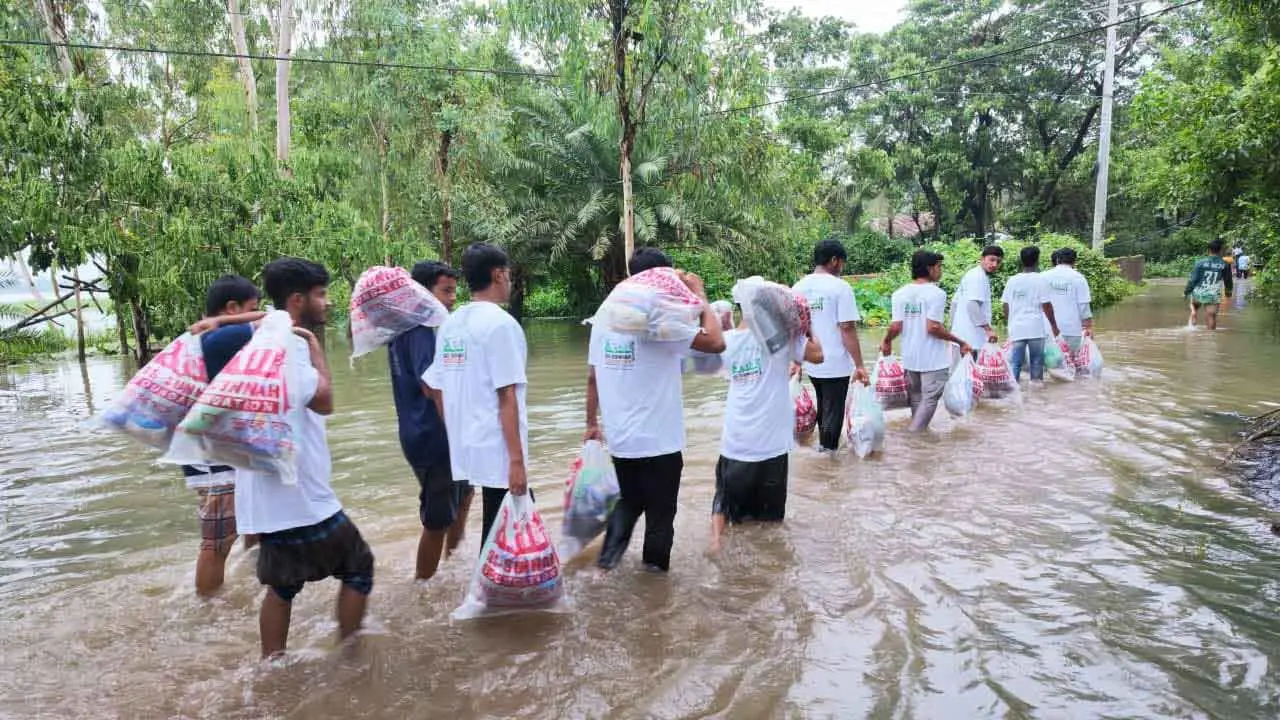 ৮ উপজেলায় ৫০ টন পশুখাদ্য সহায়তা দেবে আস-সুন্নাহ