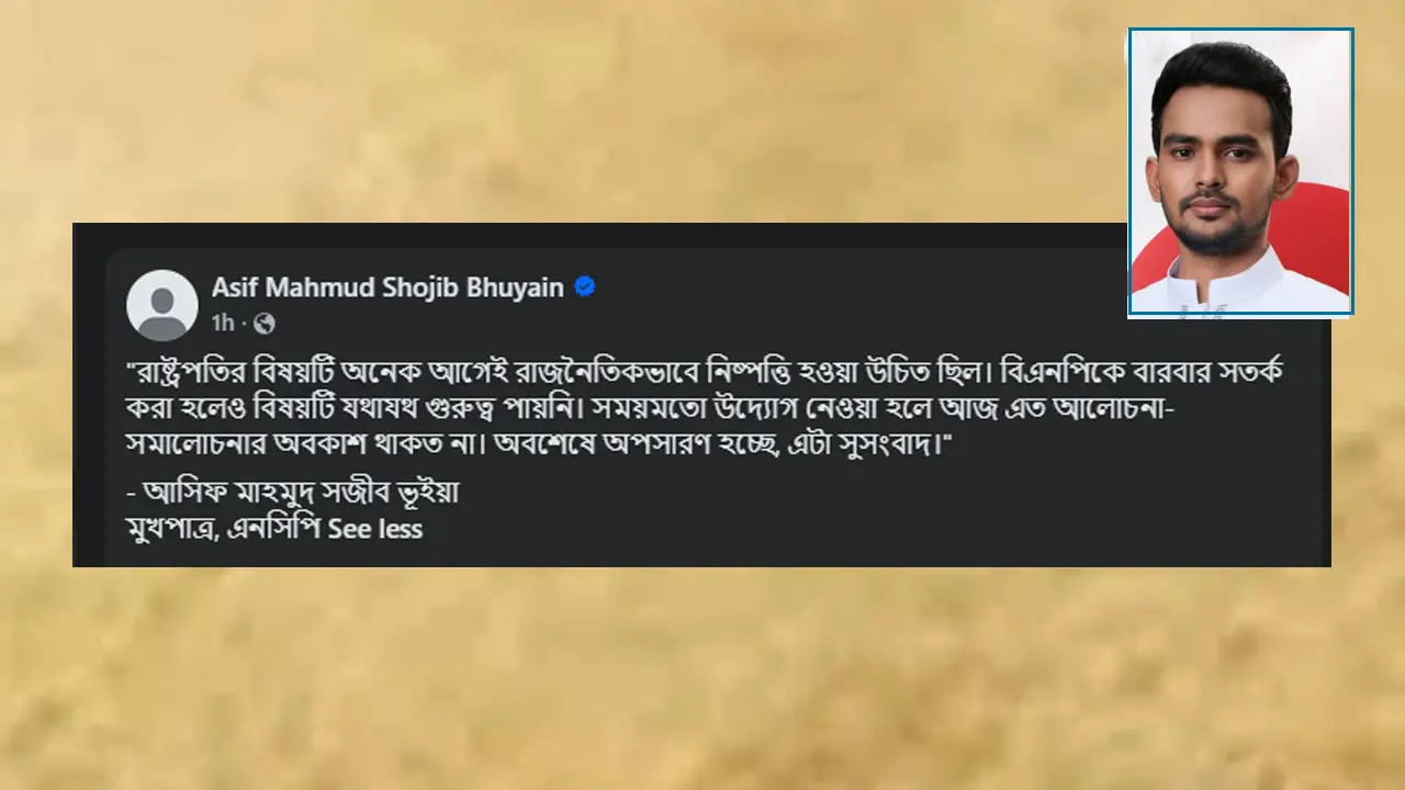 রাষ্ট্রপতি অবশেষে অপসারণ হচ্ছে, এটা সুসংবাদ : আসিফ মাহমুদ