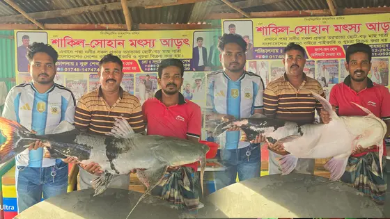 পদ্মার ২ বাঘাড় বিক্রি হলো সোয়া লাখ টাকায়
