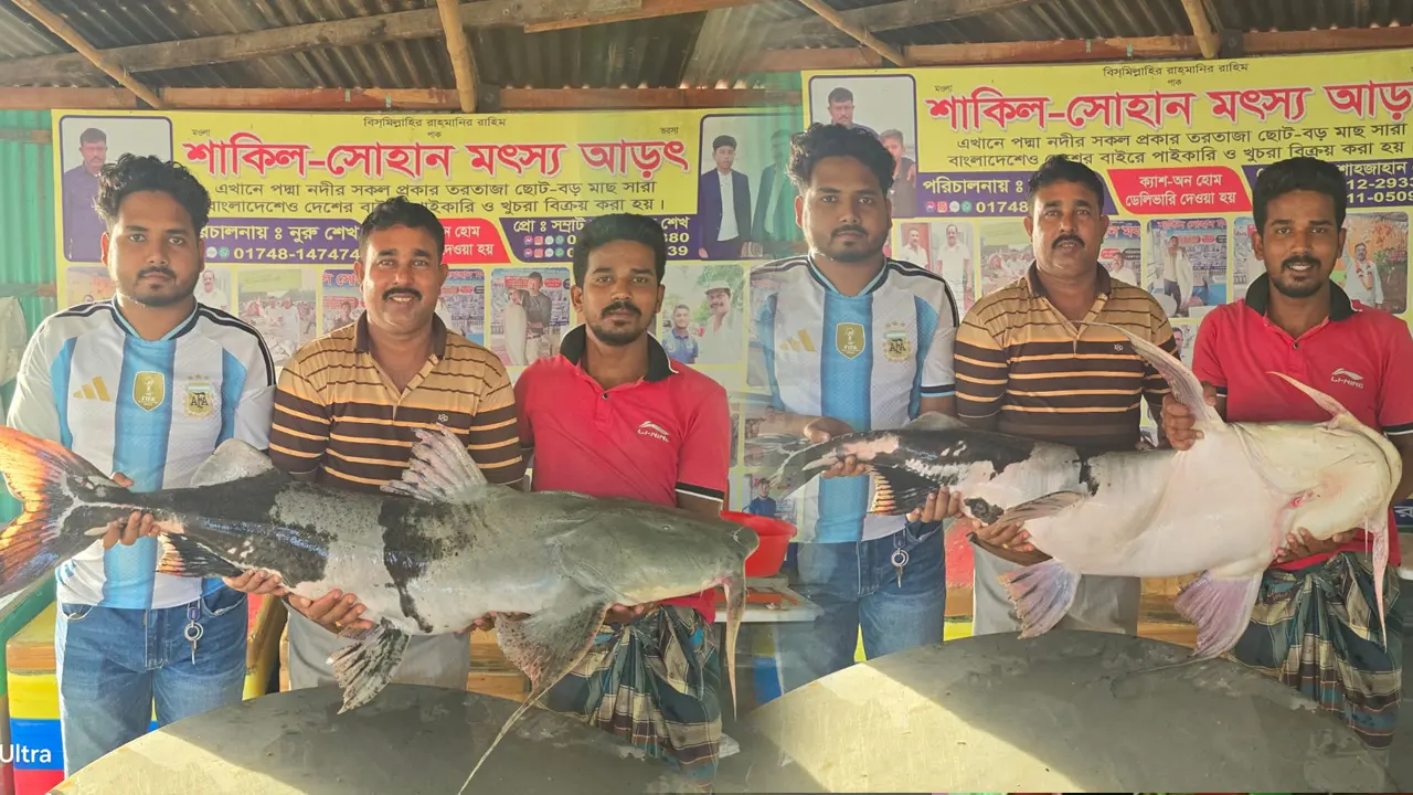পদ্মার ২ বাঘাড় বিক্রি হলো সোয়া লাখ টাকায়