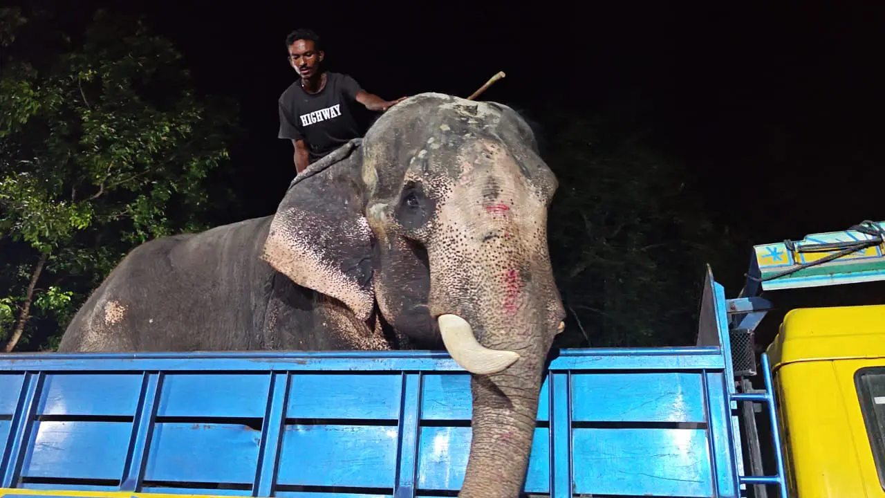 প্রধানমন্ত্রীর নির্দেশে চিড়িয়াখানায় গেল ‘বাদশা বাহাদুর’