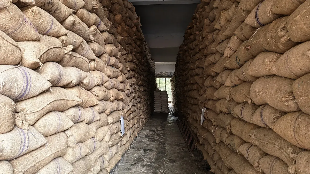 ব্রাহ্মণবাড়িয়ায় গুদামে জায়গা সংকট, ধান-চাল সংগ্রহে ধীরগতি