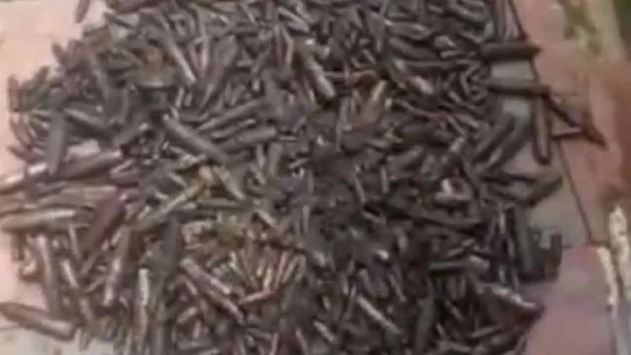 চট্টগ্রামে নালায় মিললো বিপুল সংখ্যক ‘বুলেট’