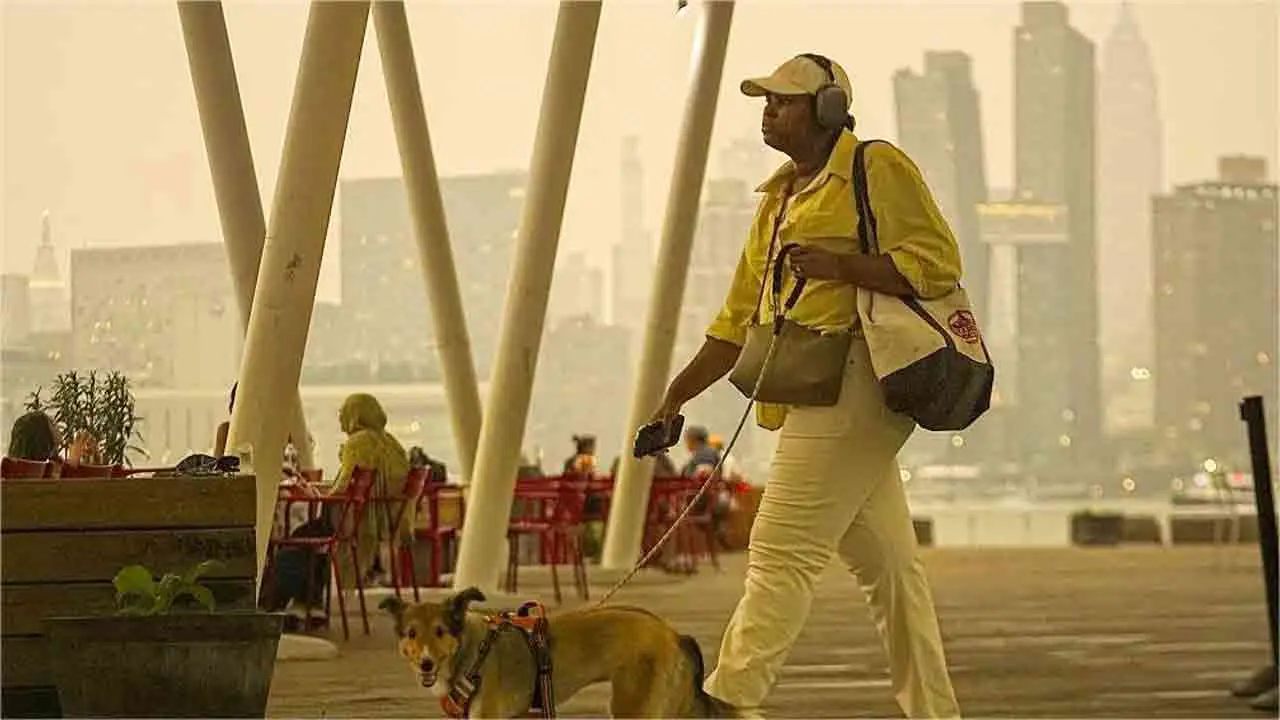 কানাডায় ৮৫৭টি দাবানল, ধোঁয়ায় বিপর্যস্ত যুক্তরাষ্ট্রের আকাশ