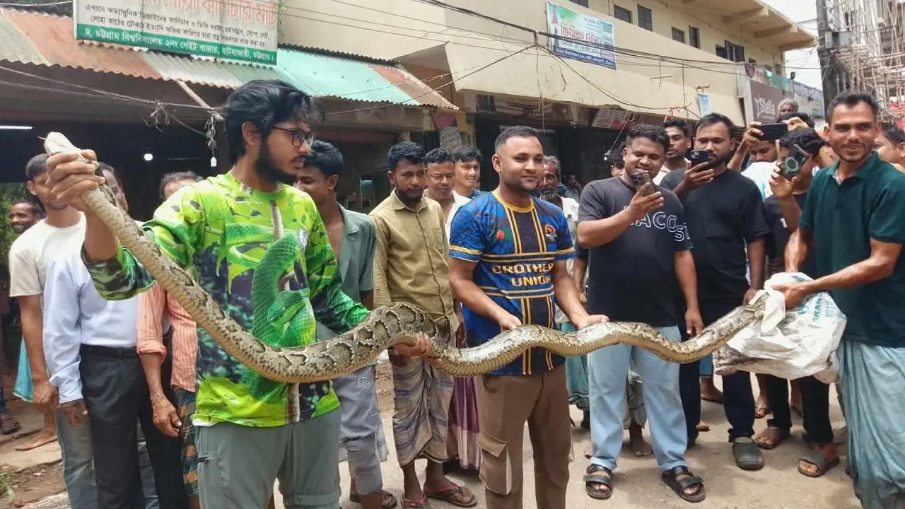 চট্টগ্রাম বিশ্ববিদ্যালয়ে ১৫ ফুট লম্বা অজগর উদ্ধার