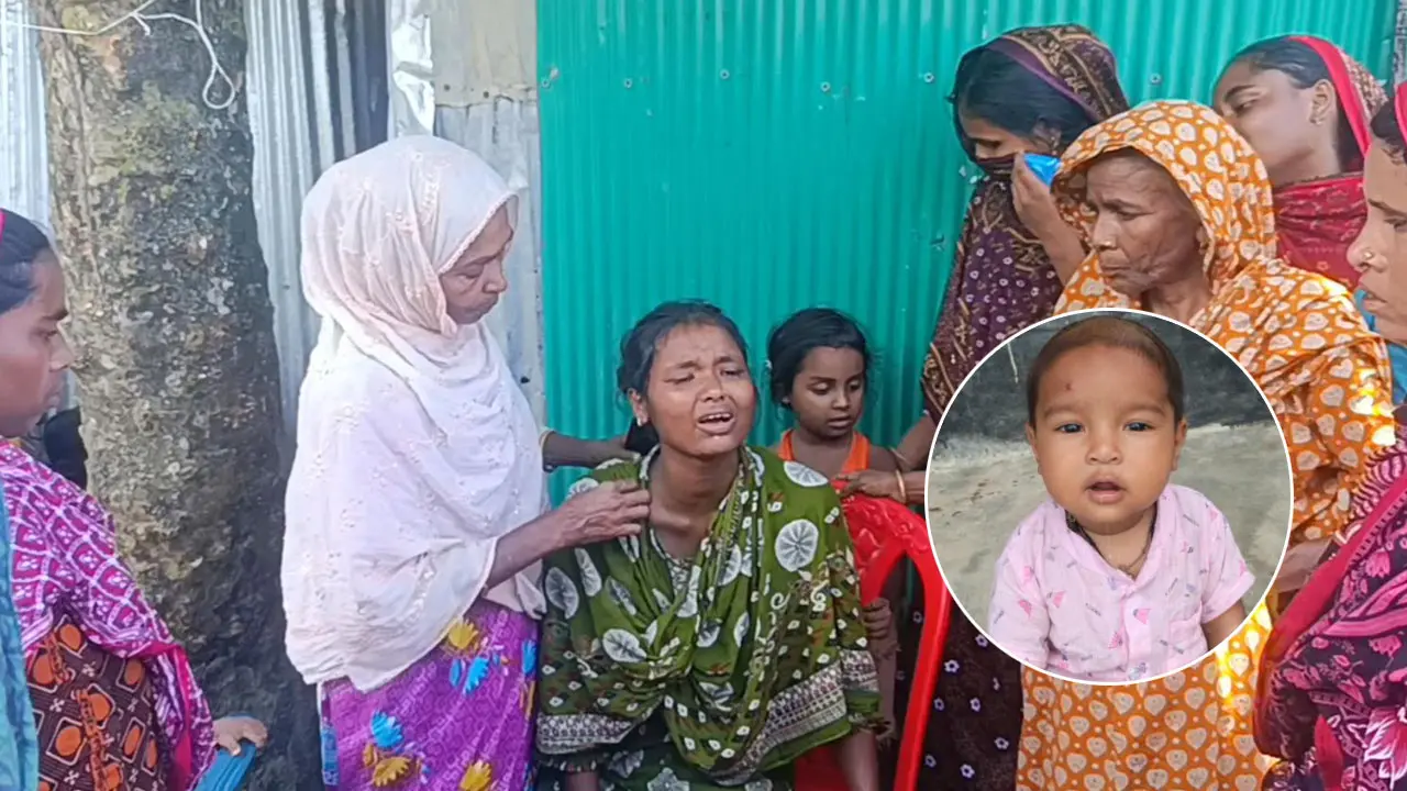 বিছানা থেকে নিখোঁজ ১১ মাসের শিশু, সেফটিক ট্যাংকে মিলল মরদেহ