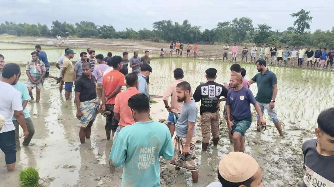 চট্টগ্রামে ধানের চারা রোপণের সময় বিদ্যুৎস্পৃষ্ট হয়ে দুই কৃষকের মৃত্যু