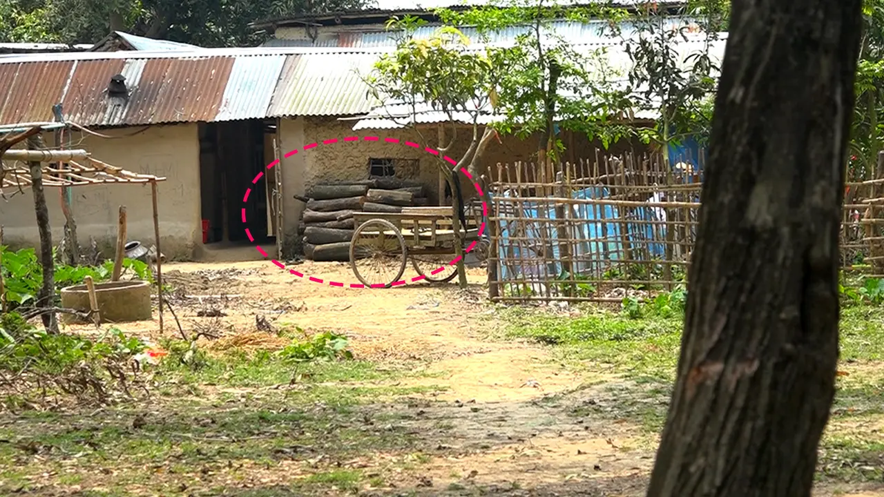নওগাঁয় সরকারি বনভূমি দখল, গাছ কেটে গড়ে উঠছে বাড়ি-প্রতিষ্ঠান