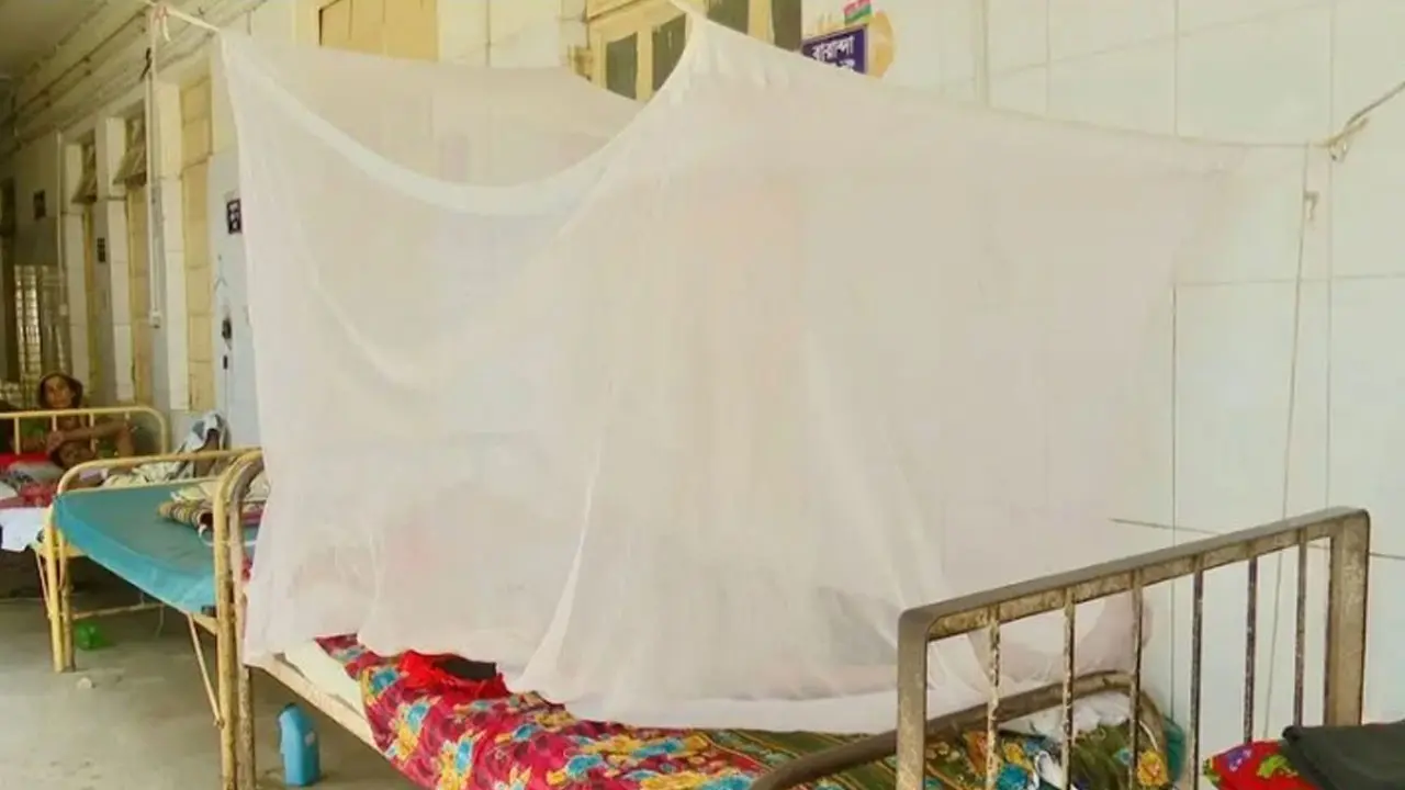 রাজশাহীতে উদ্বেগ বাড়াচ্ছে ডেঙ্গু, হাসপাতালে বাড়ছে আক্রান্ত রোগী