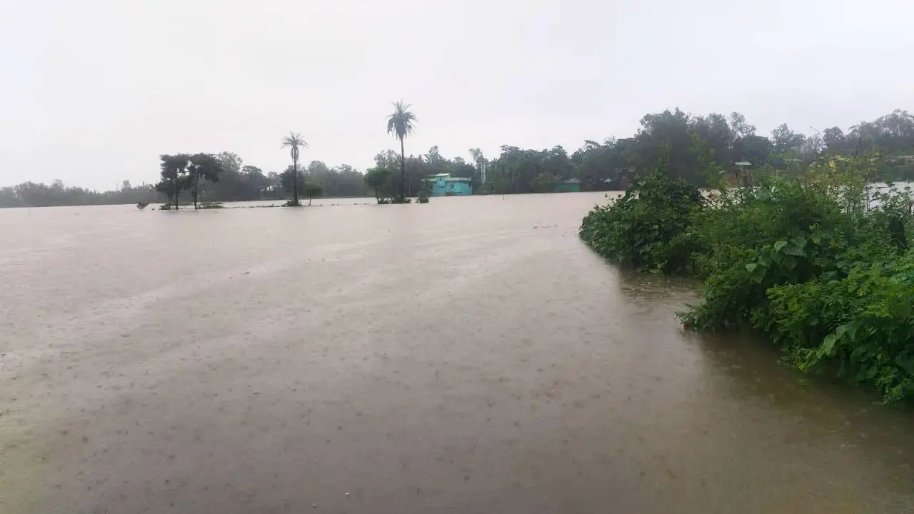 চট্টগ্রাম বিভাগে বন্যা : প্রাণহানি বেড়ে ৫০, ক্ষতিগ্রস্ত ৮০ হাজার বসতবাড়ি