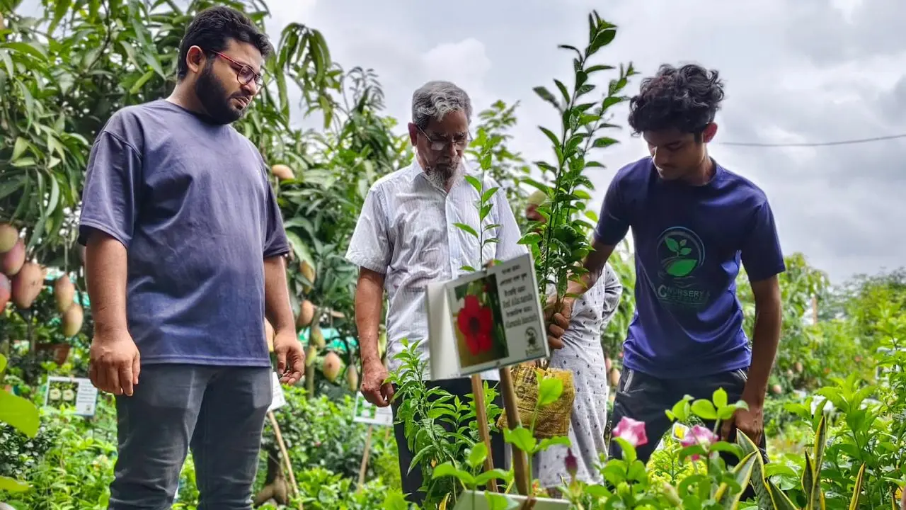 ১০ দিনেই সাড়ে তিন কোটি টাকার চারা বিক্রি