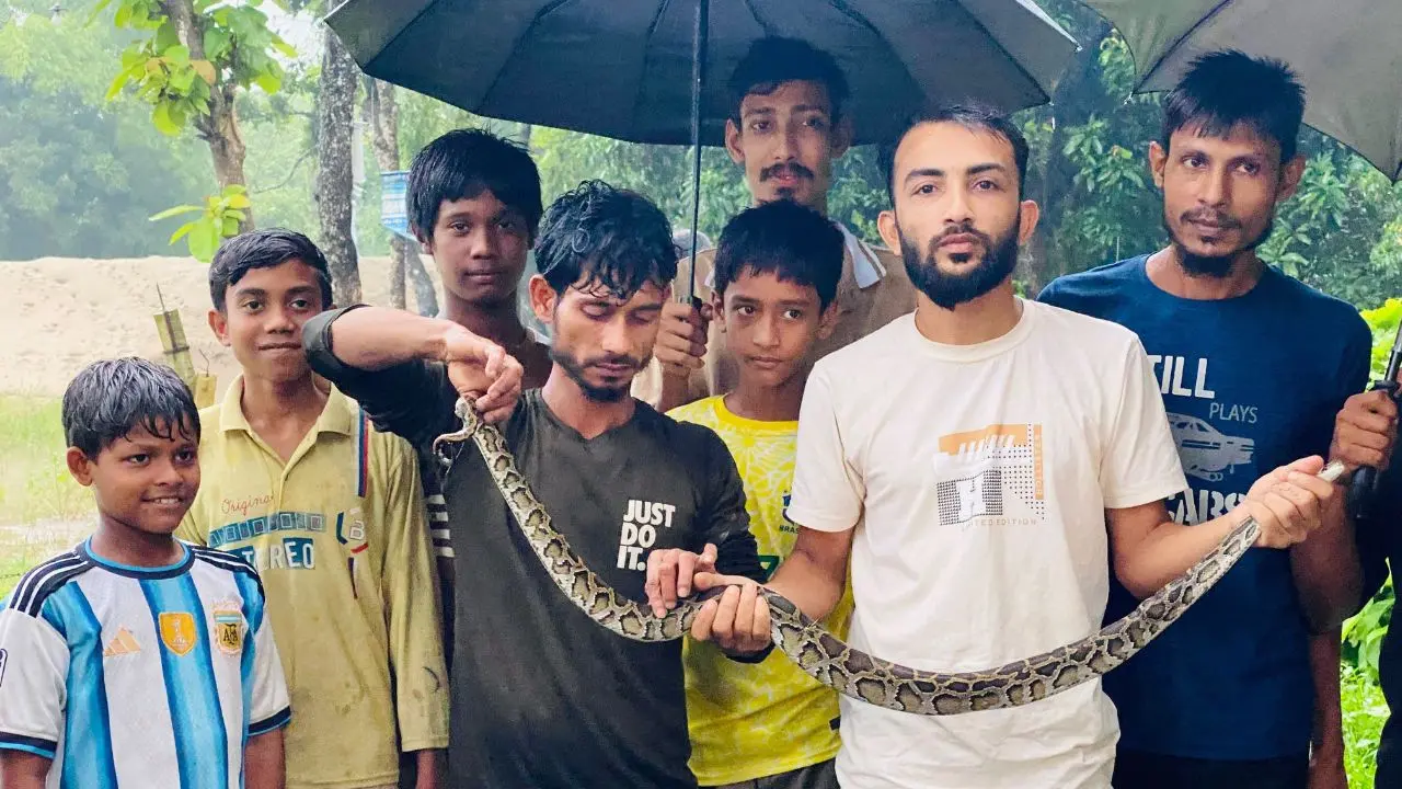 বন্যায় চট্টগ্রামে সাপের উপদ্রব