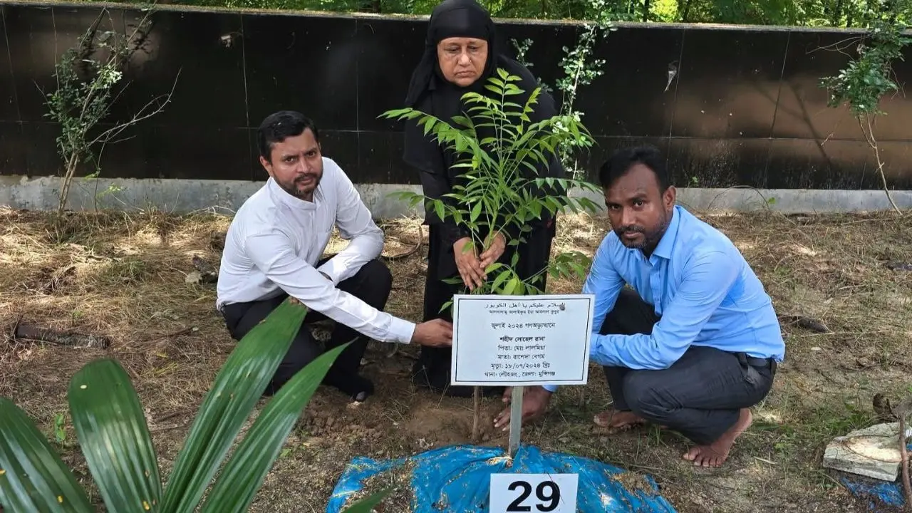 যে আমড়া গাছের নিচে ছেলেকে খুঁজতেন মা, সেই কবরে আবারও চারা
