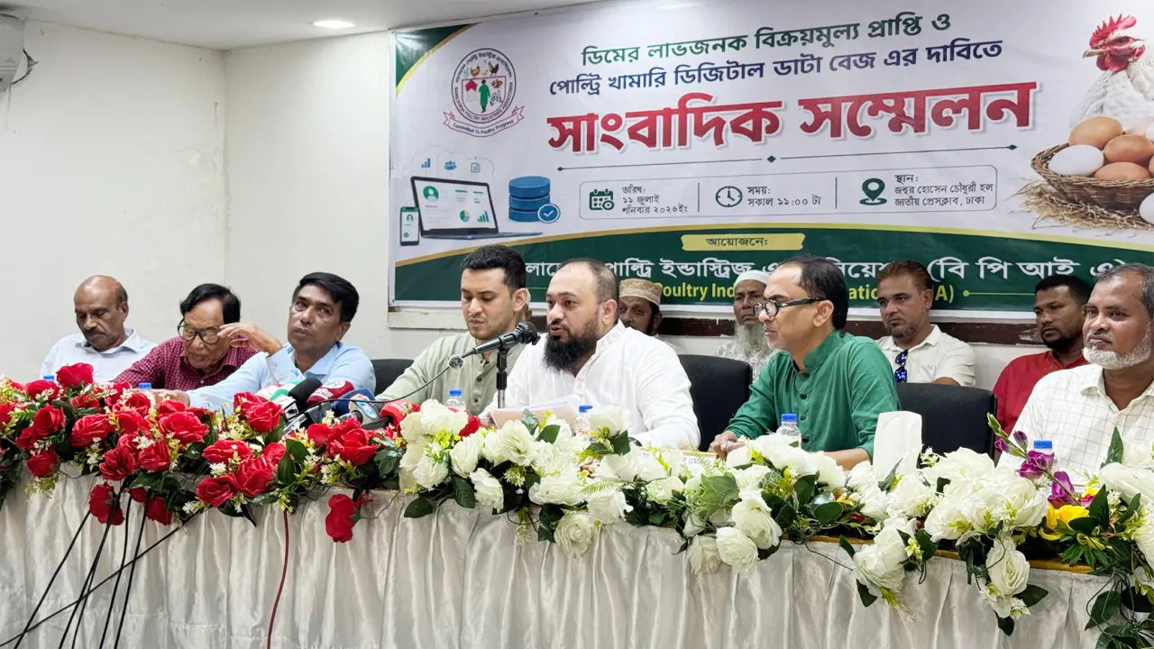 মাসে ৫০০ কোটি টাকা লোকসানে পোল্ট্রি খামারিরা