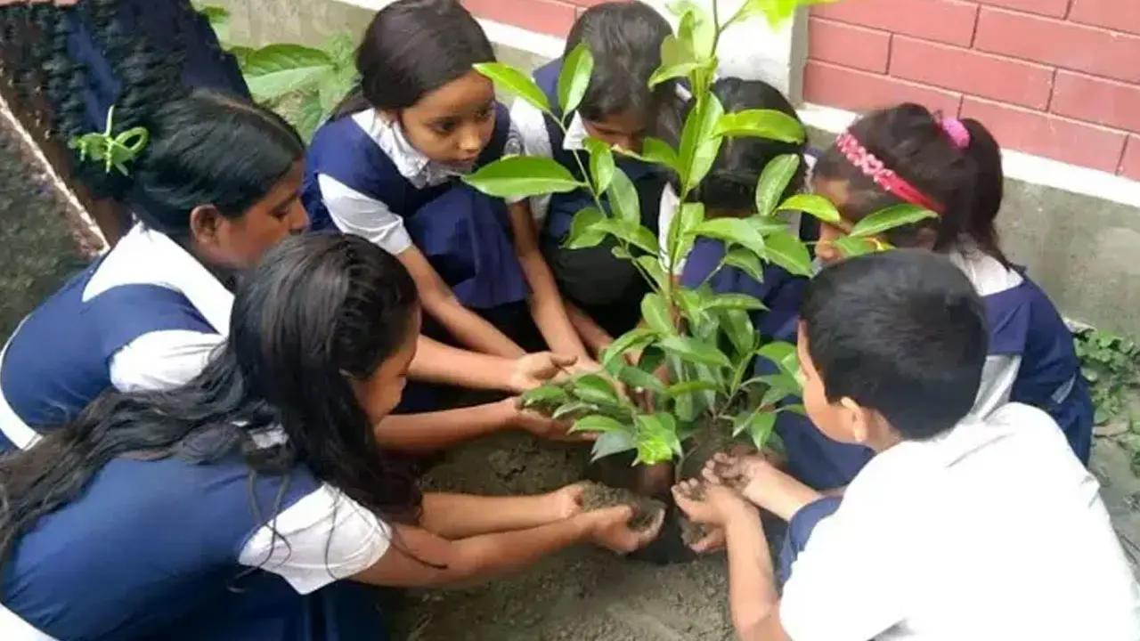 ১৫ জুলাই সব সরকারি প্রাথমিক বিদ্যালয়ে রোপণ করা হবে তিনটি করে গাছের চারা