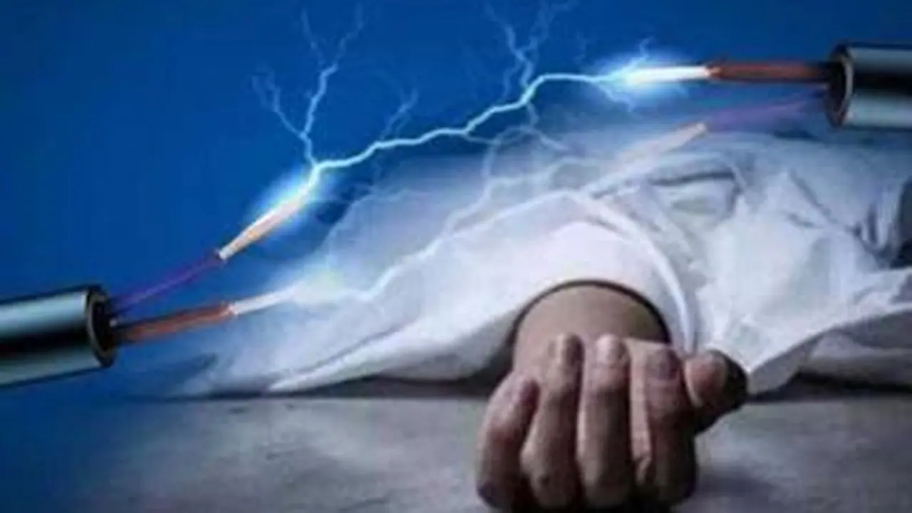 ছাগলের জন্য কাঁঠালপাতা পাড়তে গিয়ে প্রাণ গেলো কৃষকের