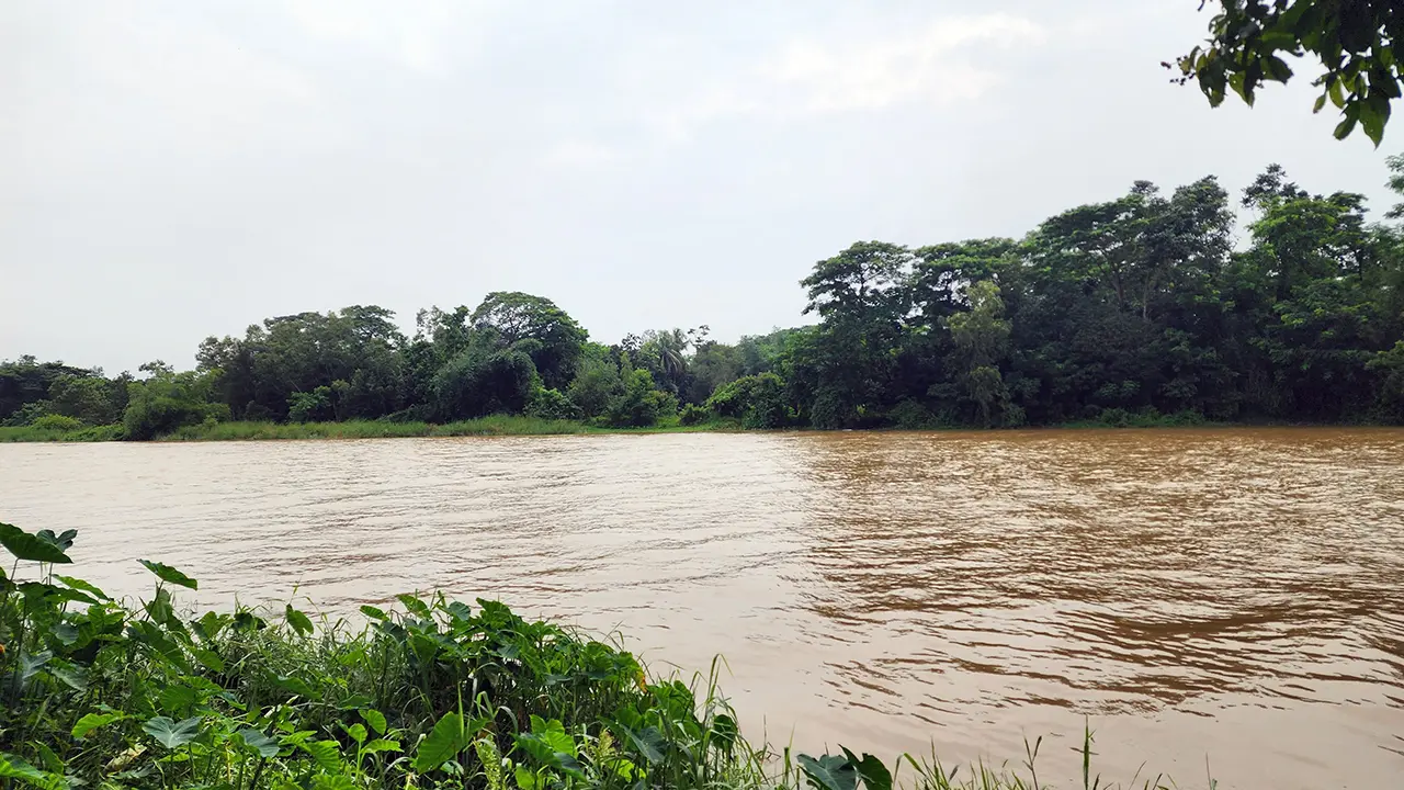 হু হু করে বাড়ছে মুহুরী নদীর পানি, আতঙ্কে নদীতীরের মানুষ