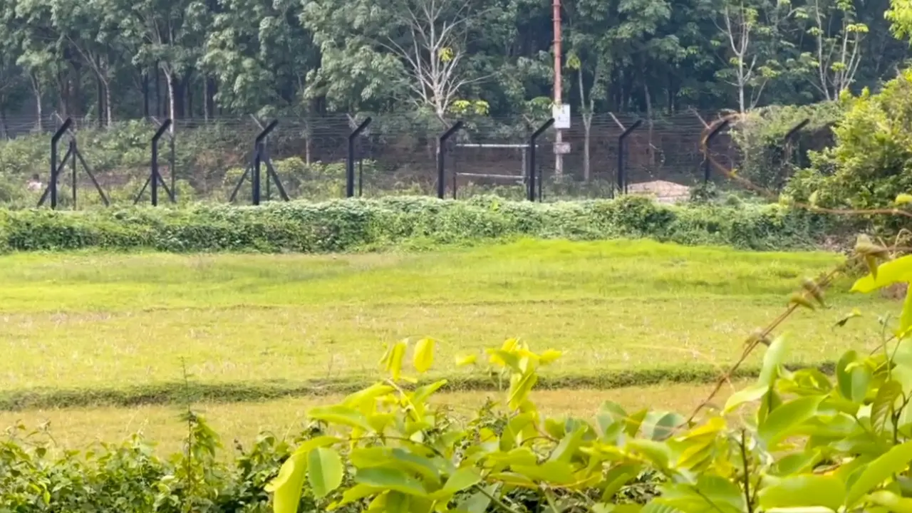 ফেনী সীমান্তে অনুপ্রবেশের চেষ্টা, ৪ জনকে ফেরাল বিজিবি