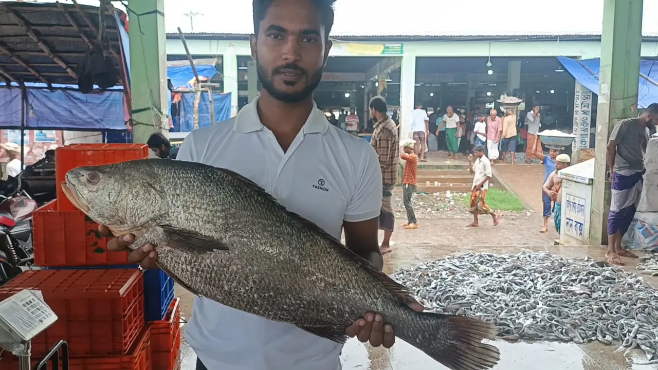 আট কেজির কালো পোয়া বিক্রি হলো ৫০ হাজারে