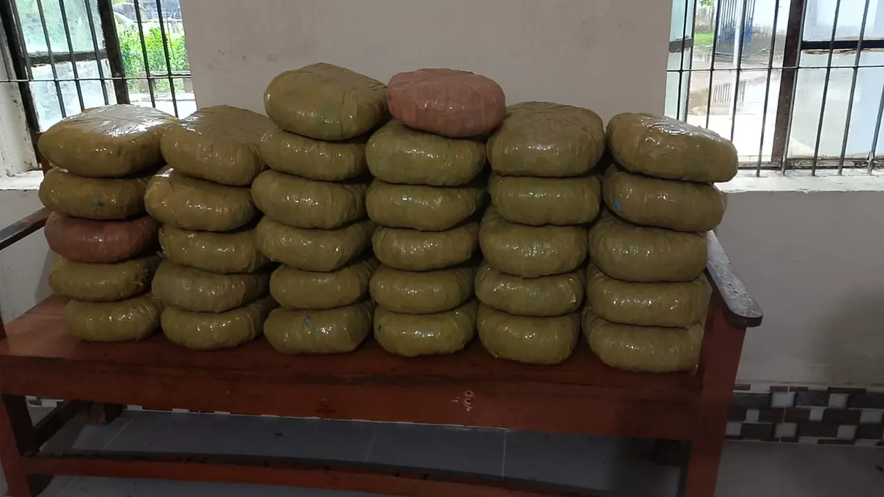 পটুয়াখালীতে ৬৬ কেজি গাঁজা জব্দ র্যাবের