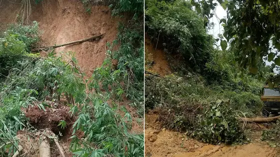 শেরপুরে টানা বর্ষণে পাহাড় ধস, সীমান্ত সড়ক বন্ধ