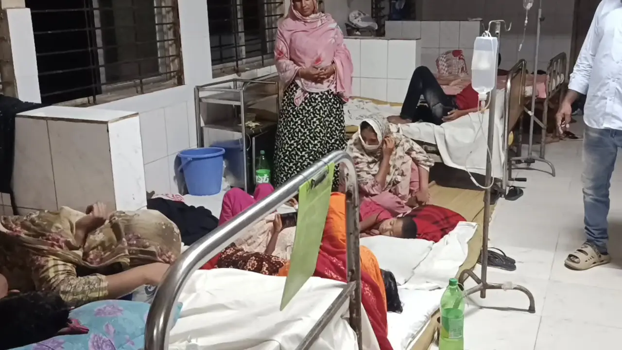 মেহেরপুরে ‘জামালগোটা’ ফল খেয়ে ১৪ শিশু অসুস্থ, হাসপাতালে ভর্তি
