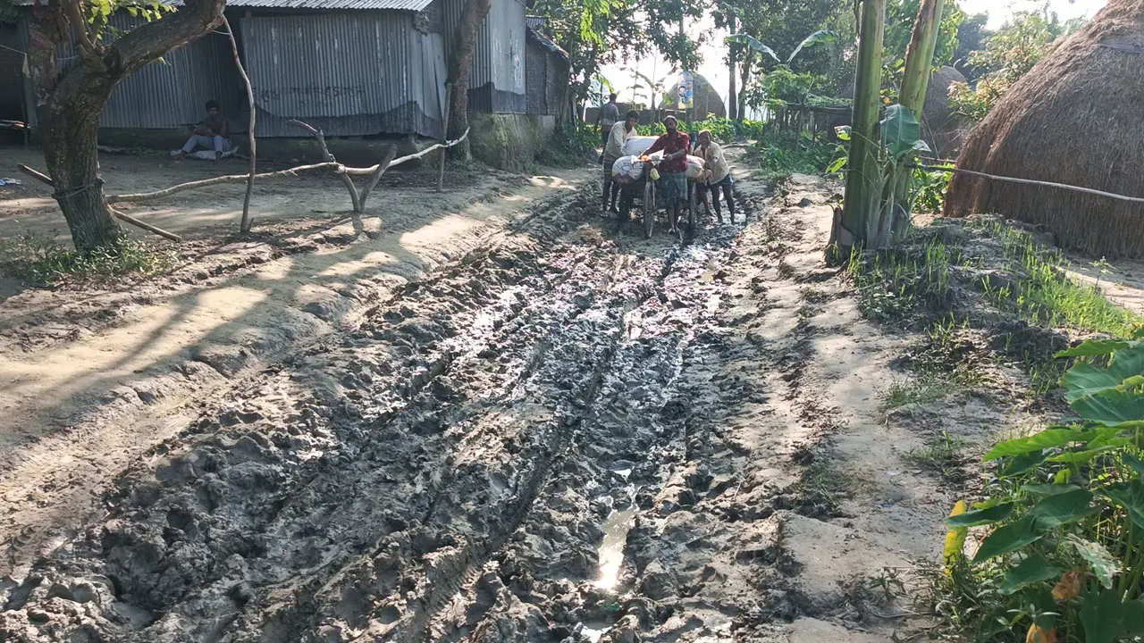 কার্পেটিংয়ের নামে সড়কের ইট তুলে বিক্রি, এমপির সঙ্গেও প্রতারণা