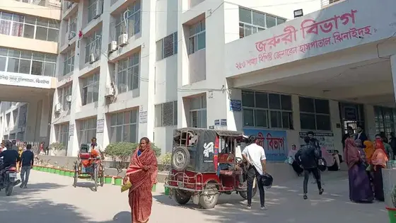 রাইস কুকারে ভাত রান্না করতে গিয়ে বিদ্যুৎস্পৃষ্টে গৃহবধূর মৃত্যু