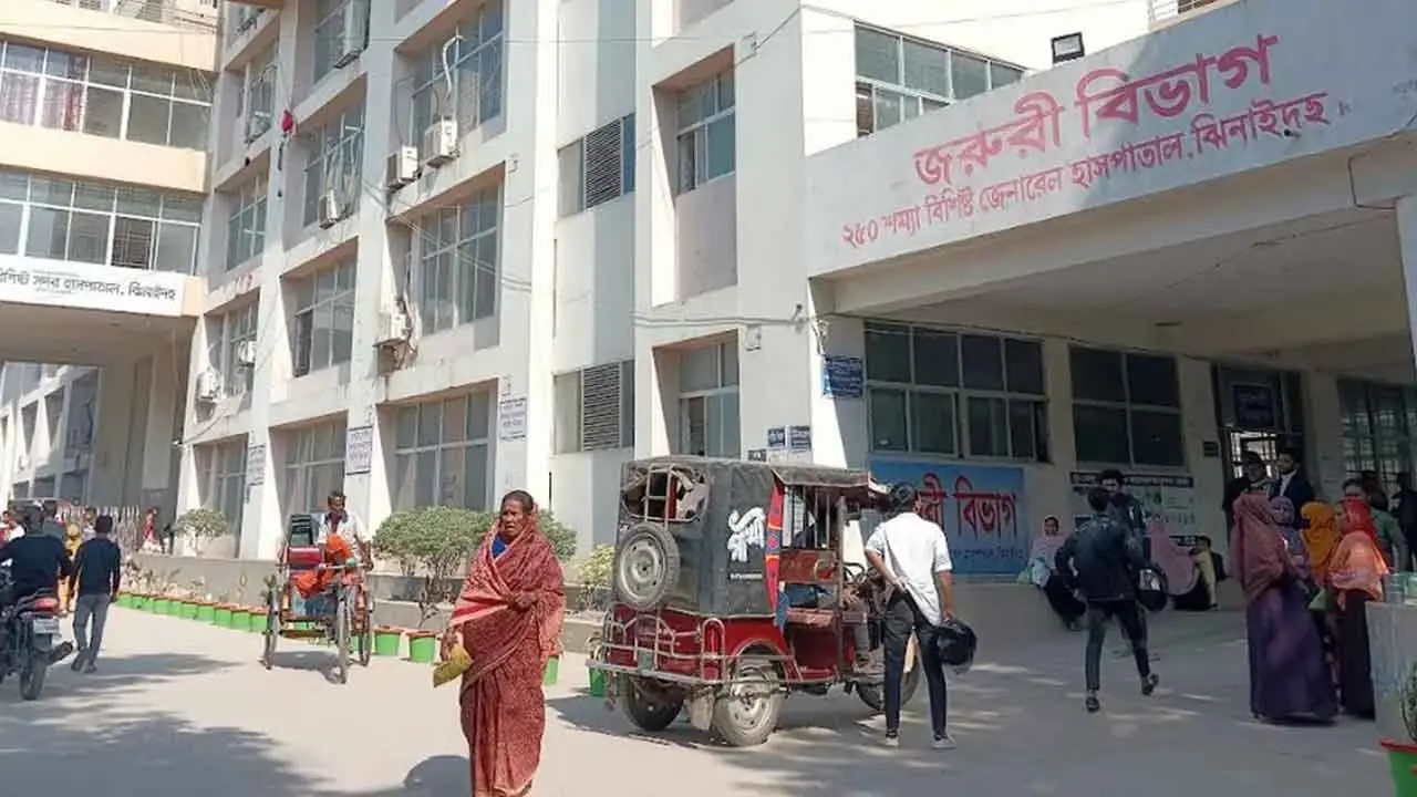 রাইস কুকারে ভাত রান্না করতে গিয়ে বিদ্যুৎস্পৃষ্টে গৃহবধূর মৃত্যু