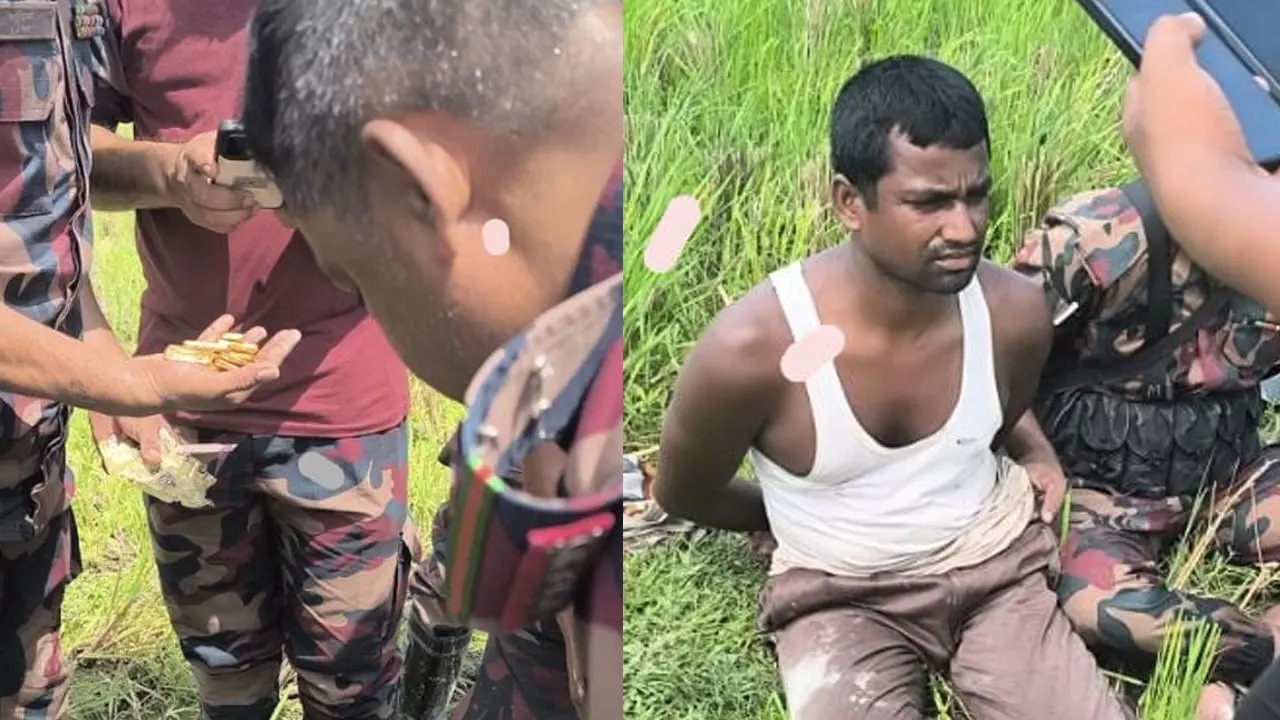 ধানক্ষেতে কাদার নিচে লুকিয়ে রাখা হয়েছিল ১০১ ভরি স্বর্ণ
