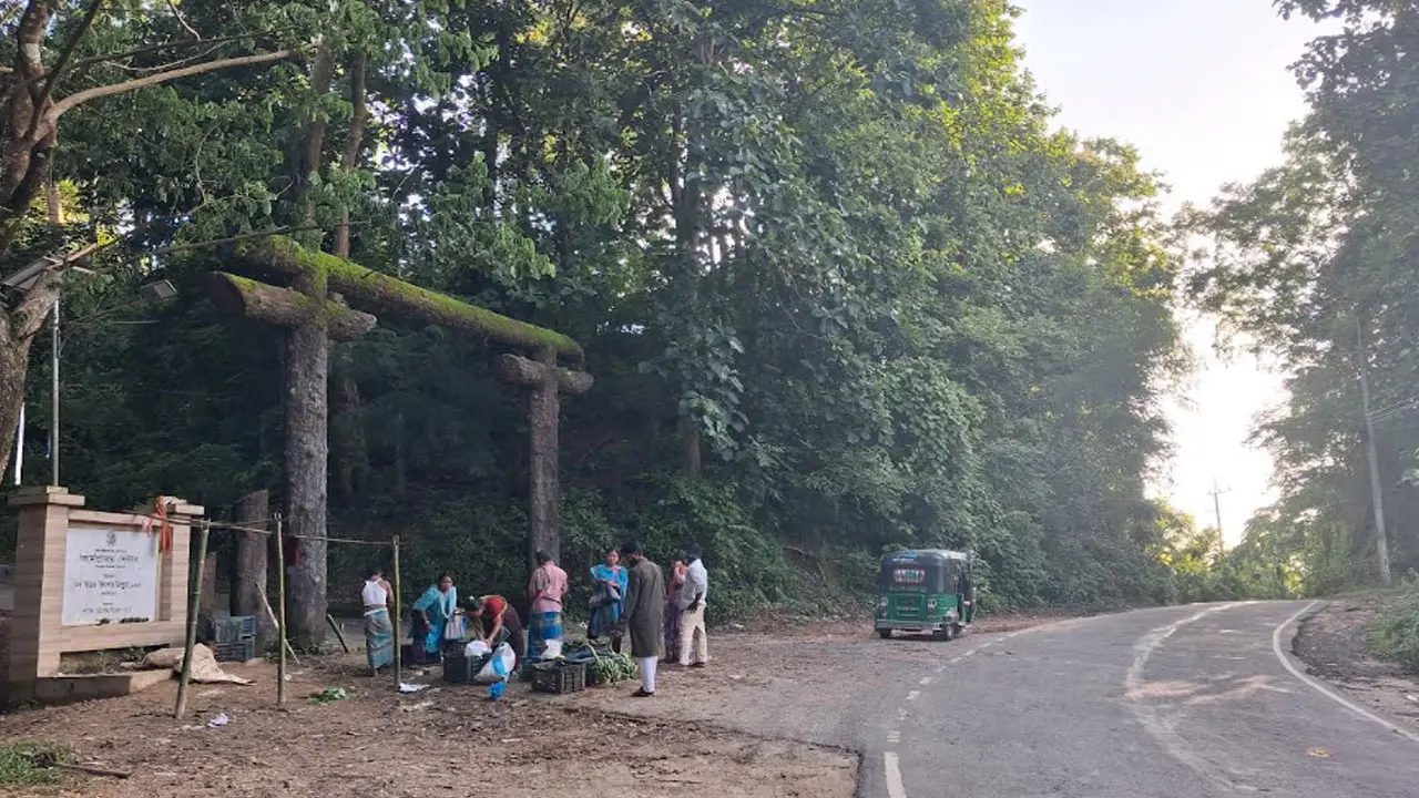 উজাড় বন পুনরুদ্ধারে আলুটিলায় দেশীয় গাছ রোপণের উদ্যোগ