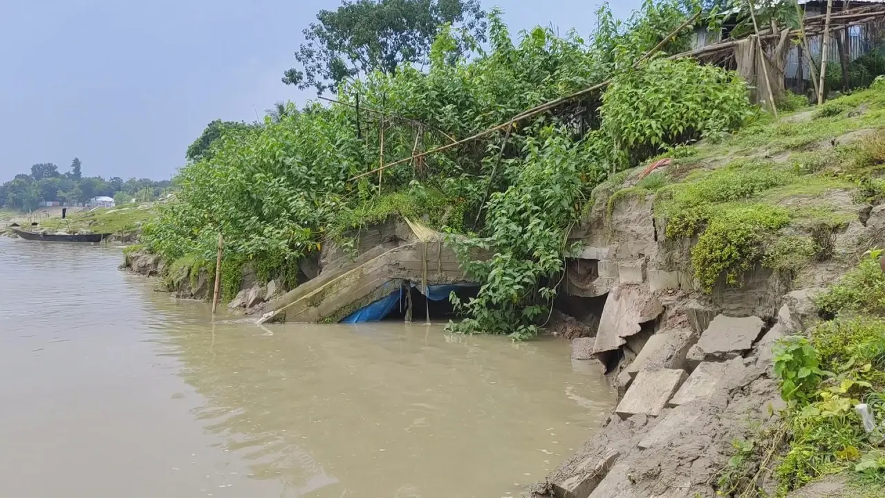 খোকসায় শহর রক্ষা বাঁধে ধস, আতঙ্কিত এলাকাবাসী
