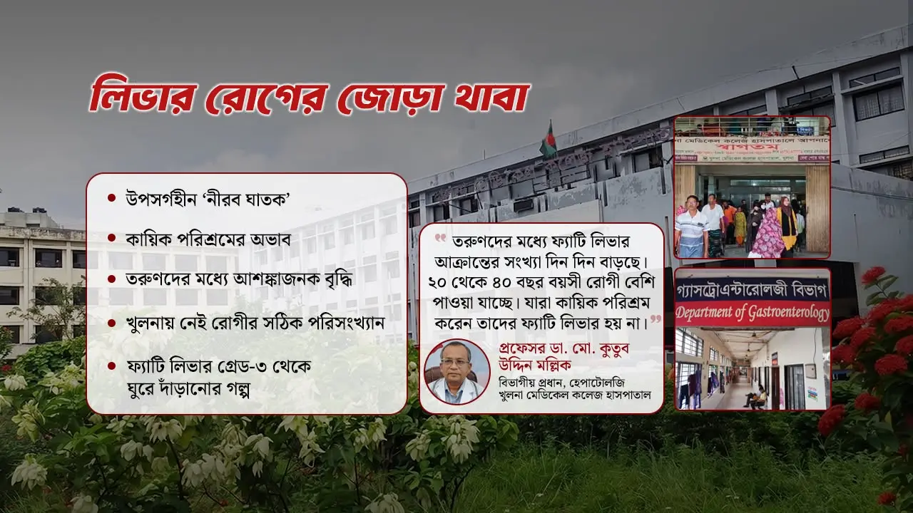 লাইফস্টাইলে ফ্যাটি লিভার ও সেলুন-পার্লারে হেপাটাইটিসের ছদ্মঝুঁকি