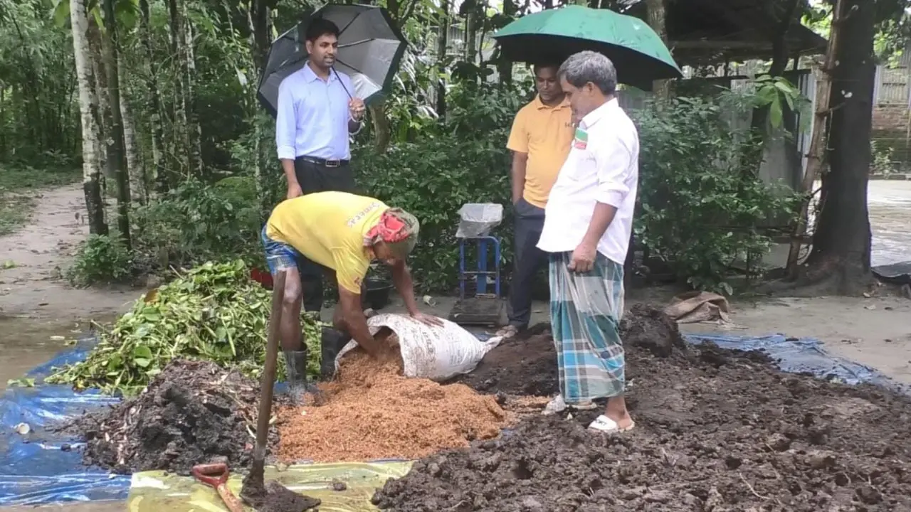 জৈব সারের ব্যবহারে লাভবান হচ্ছেন কুড়িগ্রামের কৃষক