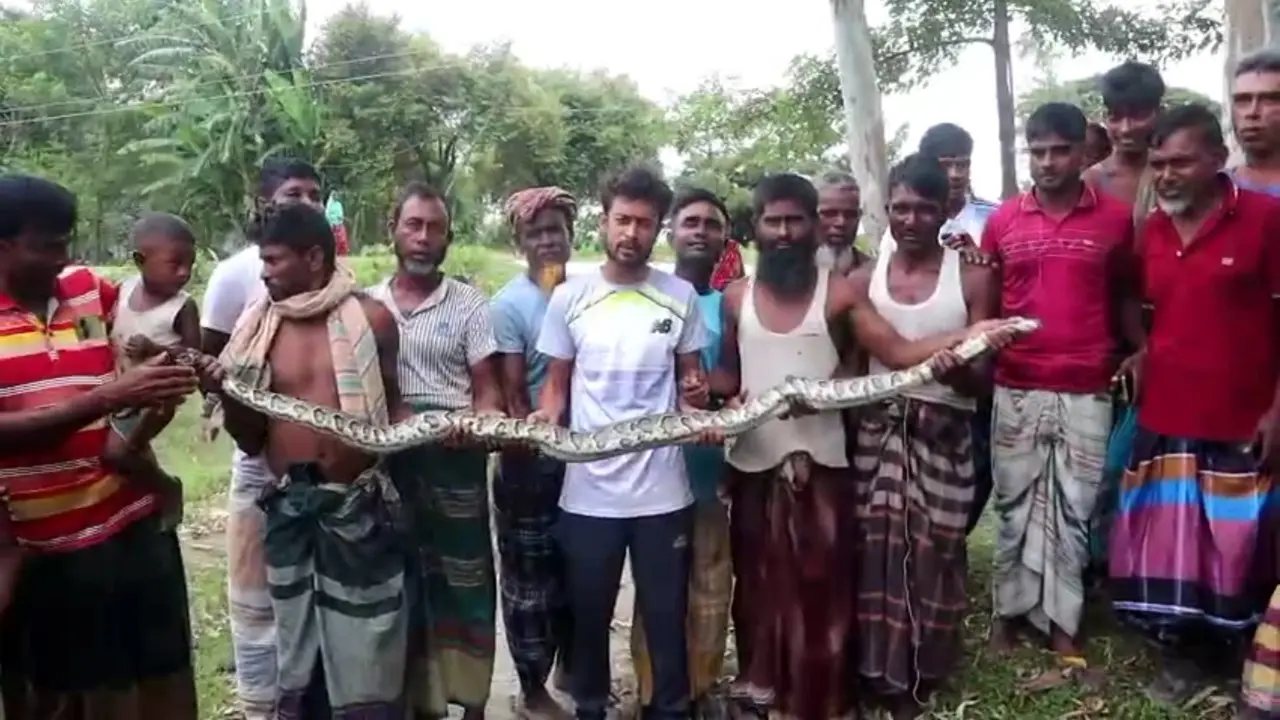 কুড়িগ্রামে লোকালয় থেকে ১০ ফুট লম্বা অজগর উদ্ধার