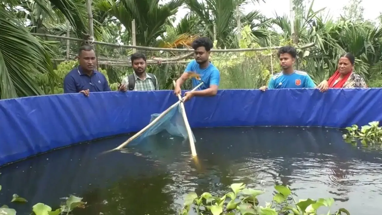 কুড়িগ্রামে ছাদ-উঠান ও পুকুরে আধুনিক প্রযুক্তিতে মাছ চাষ, বাড়ছে আয়