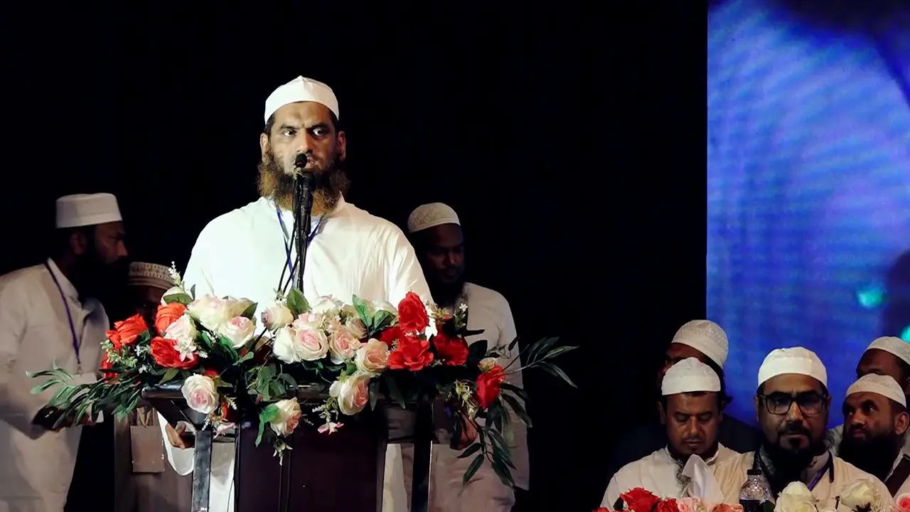 বিএনপি আমূল কোনো সংস্কারের পক্ষে থাকতে চায় না: মামুনুল হক