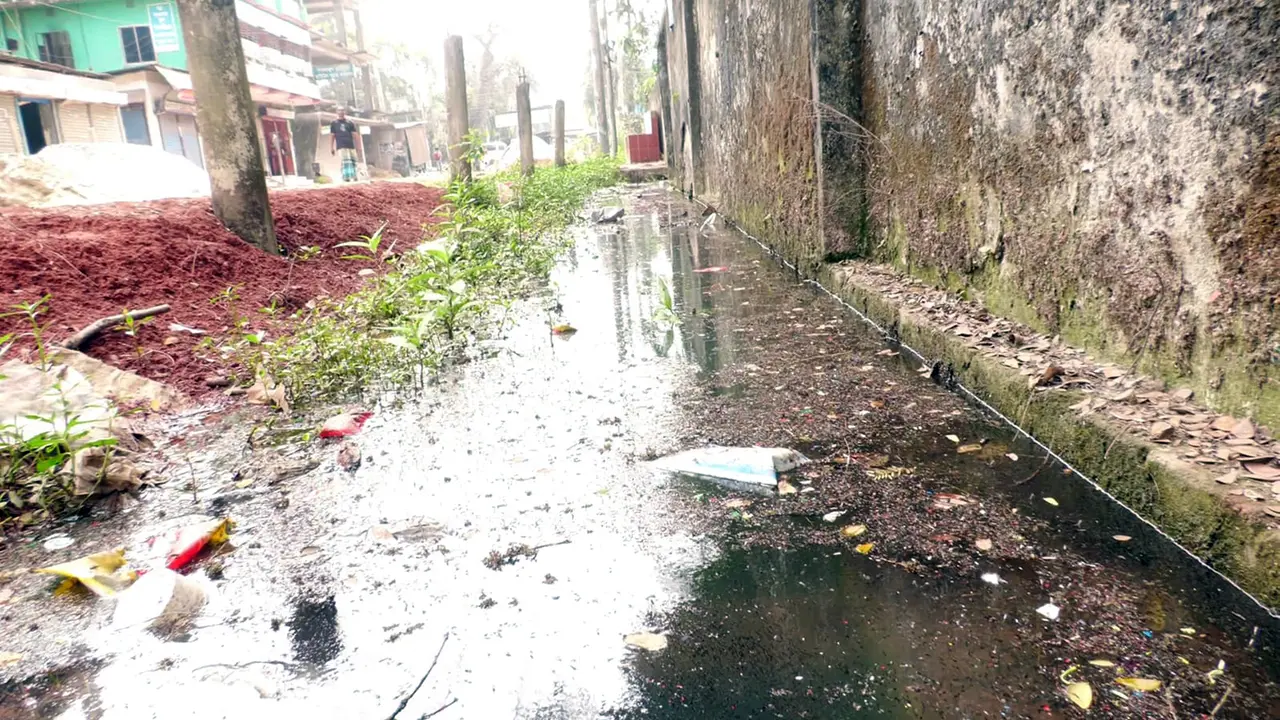 লক্ষ্মীপুরে মশার কামড়ে বাড়ছে রোগবালাই, ওষুধ ছিটানো প্রকল্প স্রেফ কাগজে