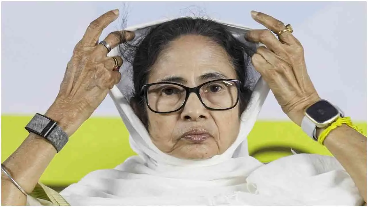 আমাকে থামাতে হলে মেরে ফেলতে হবে : মমতা