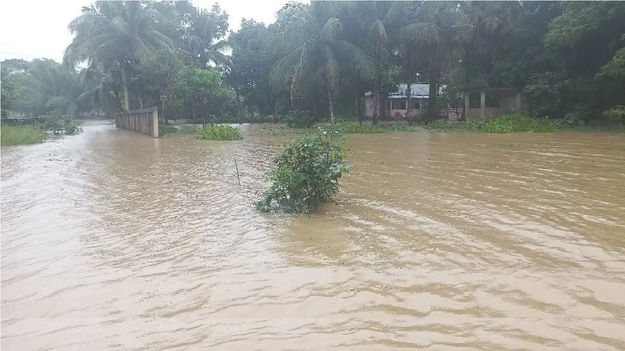 মনু নদীর বাঁধ ভেঙে মৌলভীবাজারে ১৫ গ্রাম প্লাবিত