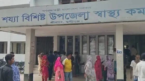 মুন্সীগঞ্জে বাসের সঙ্গে সংঘর্ষে নসিমনচালকসহ নিহত ২