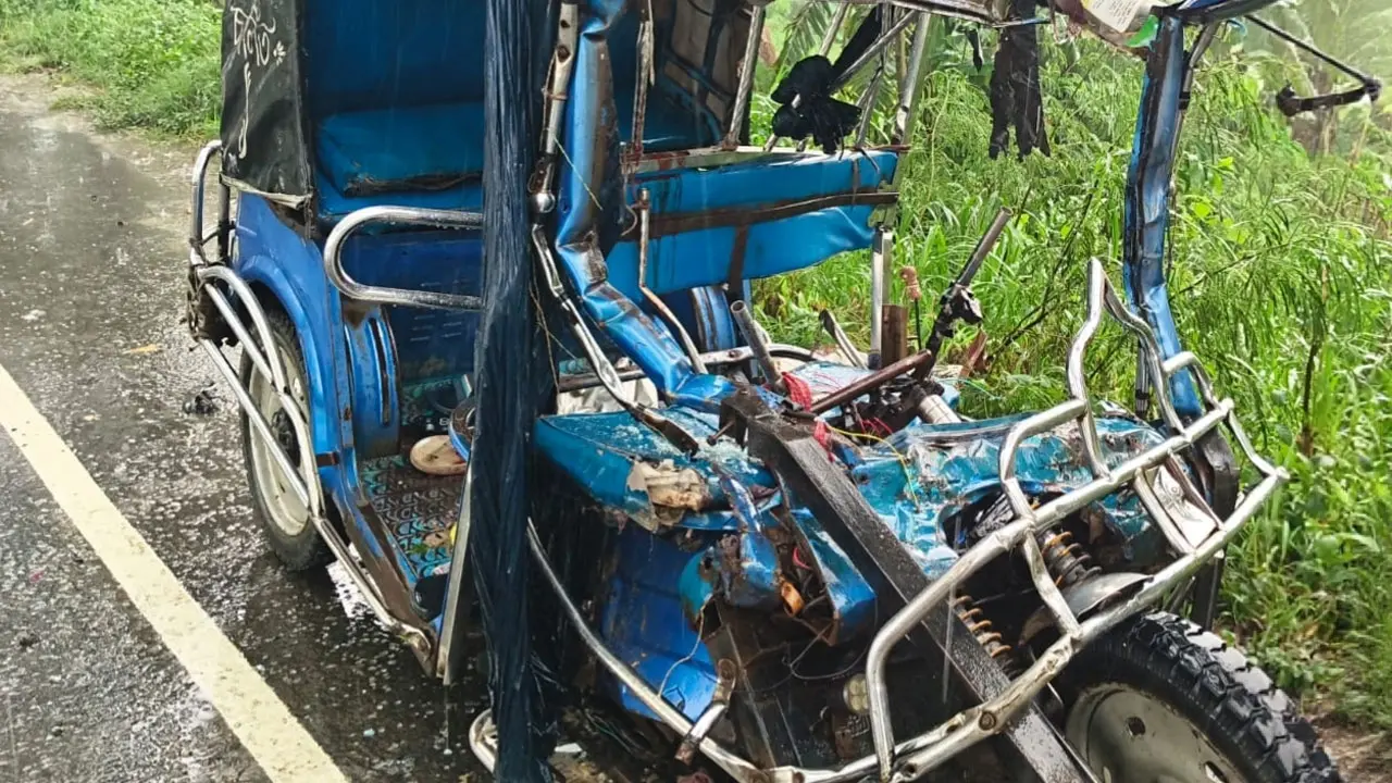 নাটোরে ট্রাকের ধাক্কায় ইজিবাইকচালকসহ নিহত ৩
