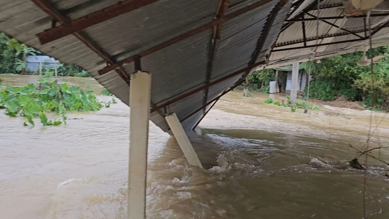 নেত্রকোণায় পাহাড়ি ঢলে নদীগর্ভে বিদ্যালয়, ক্ষতিগ্রস্ত সড়ক-বীজতলা